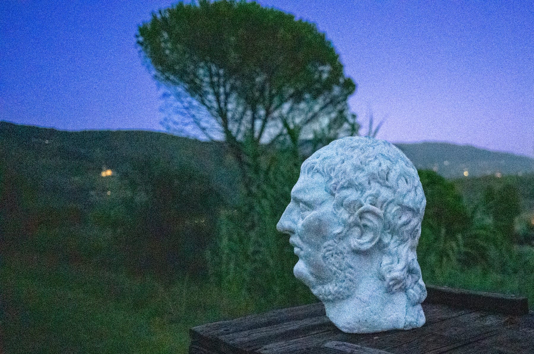 The marble bust of Nero on a wooden table at dusk, hills and a pine behind it